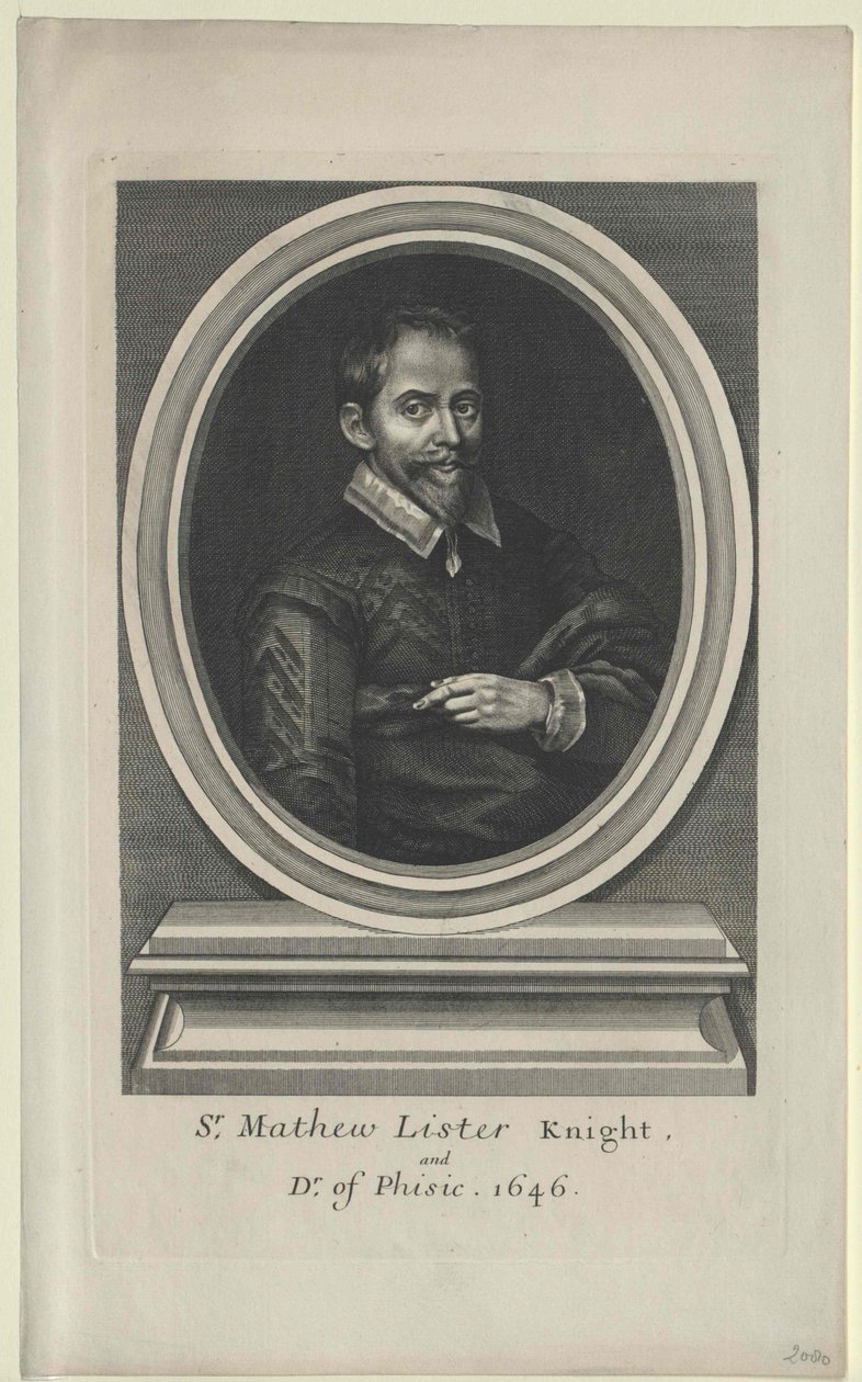 Matthew Liste von Artist Unknown