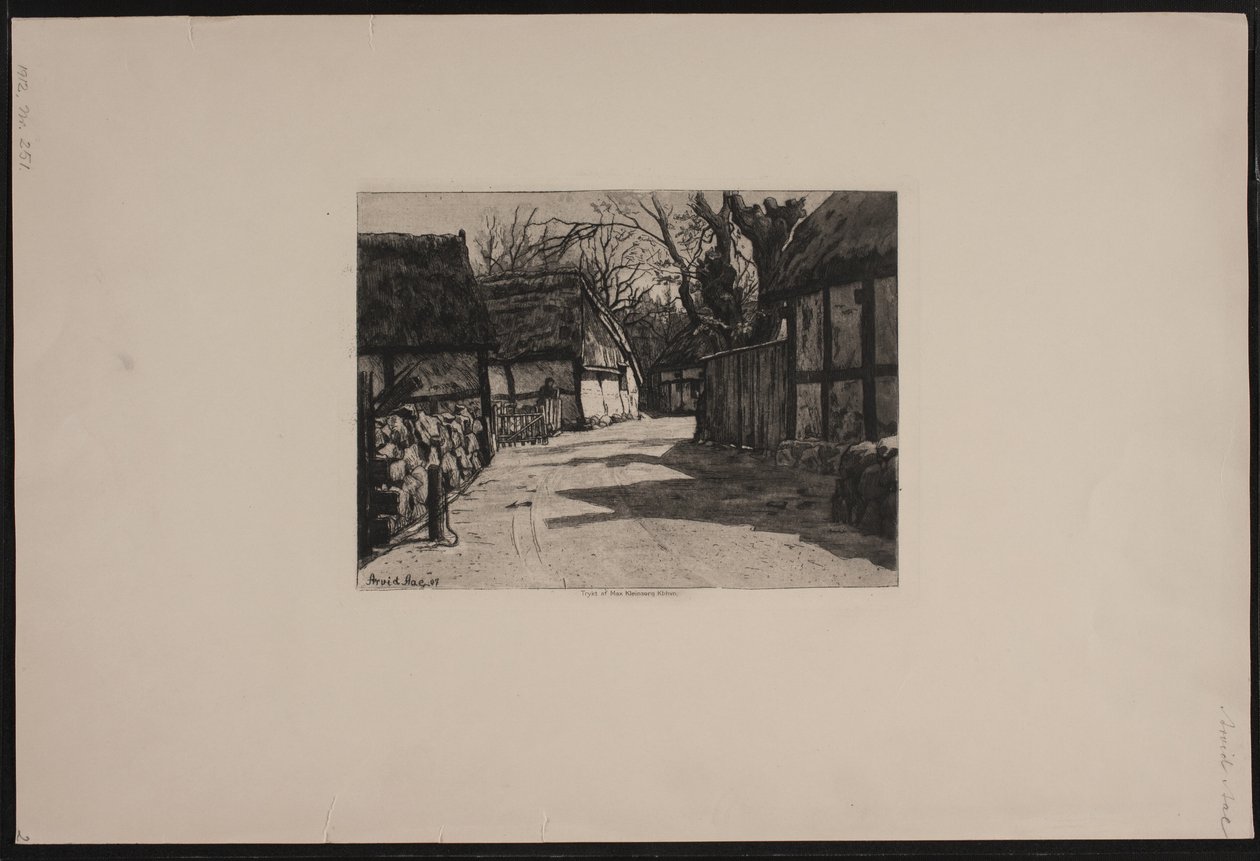 Eine Dorfstraße von Arvid Aae