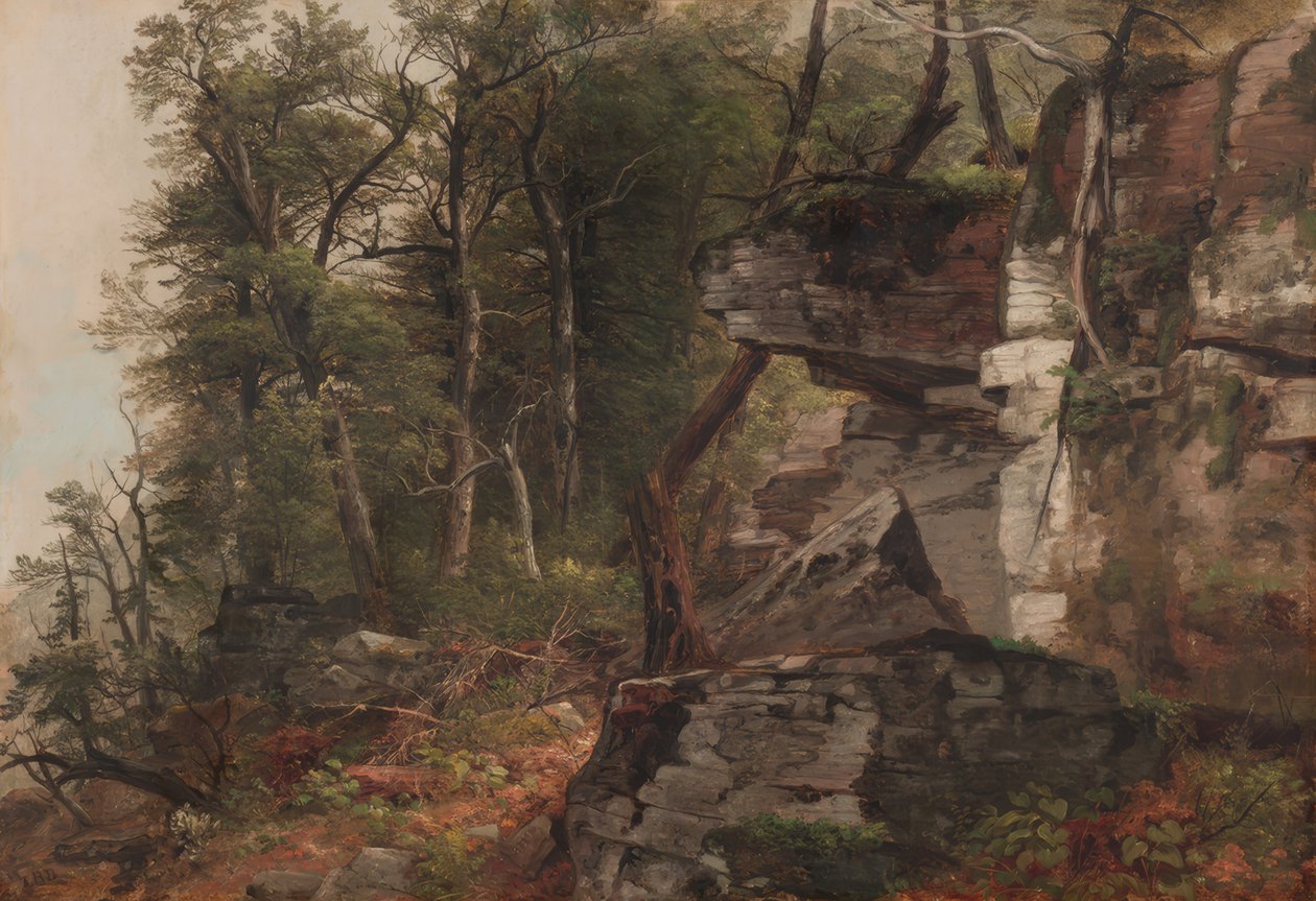 Bäume an einem felsigen Abhang von Asher Brown Durand