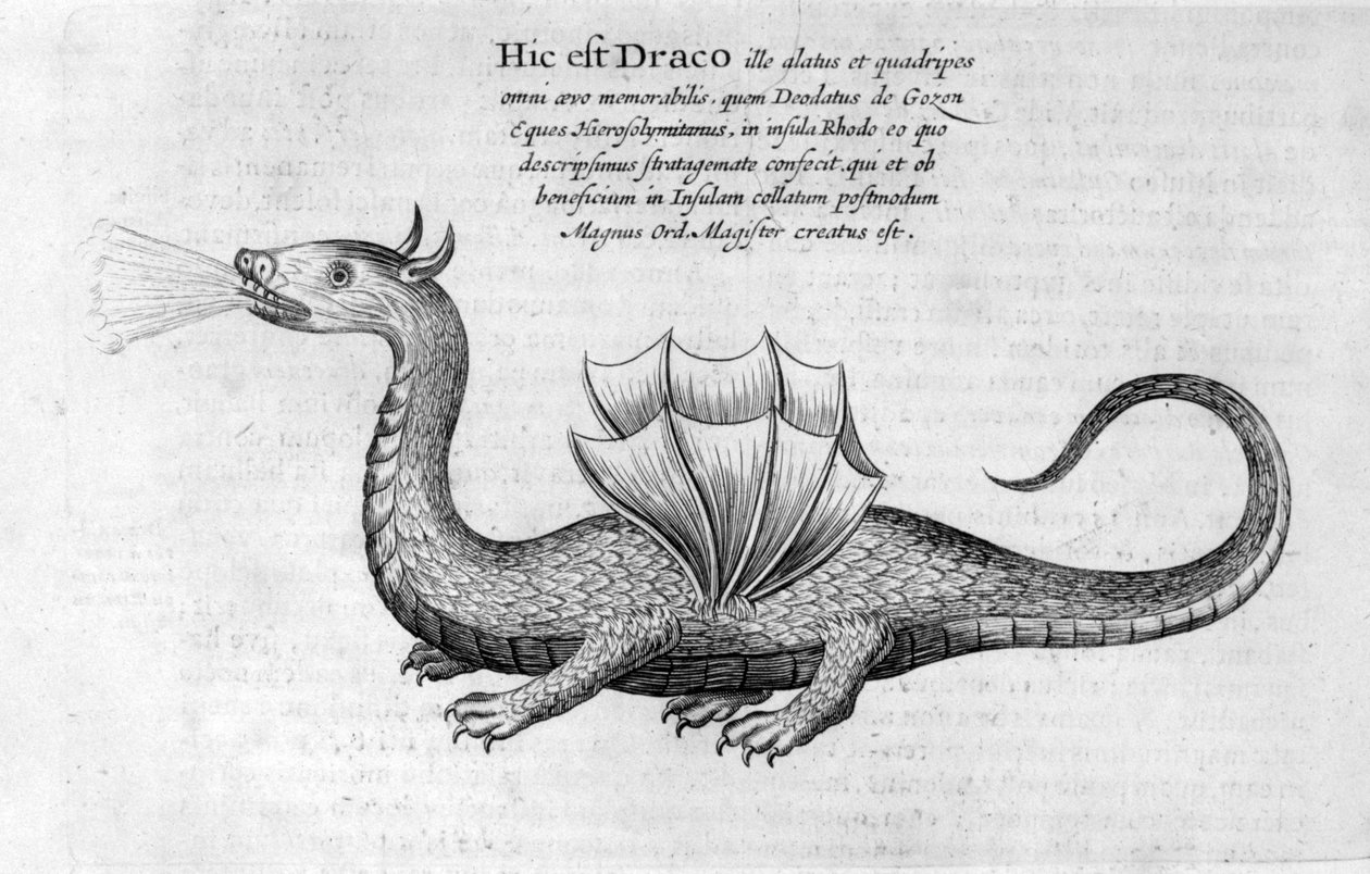 Drache von Athanasius Kircher