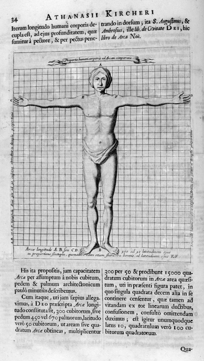 Proportionen des Menschen, 1675 von Athanasius Kircher