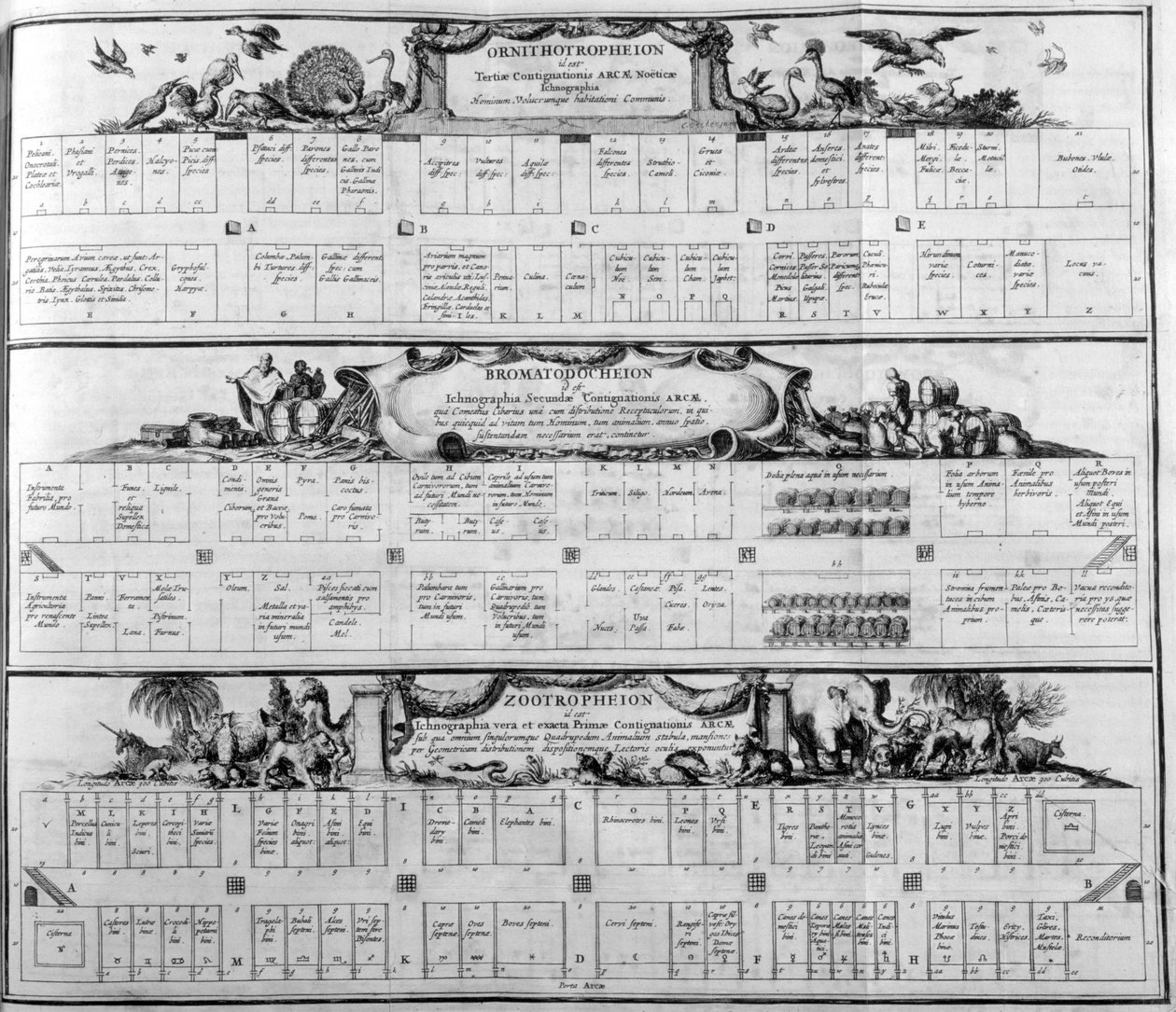 Tabelle der Arten, 1765 von Athanasius Kircher