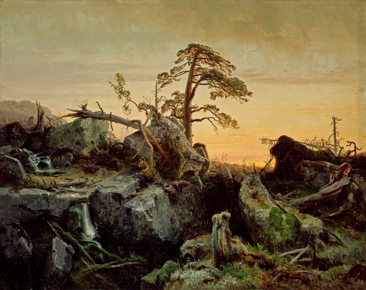 Sterbender Urwald von August Cappelen