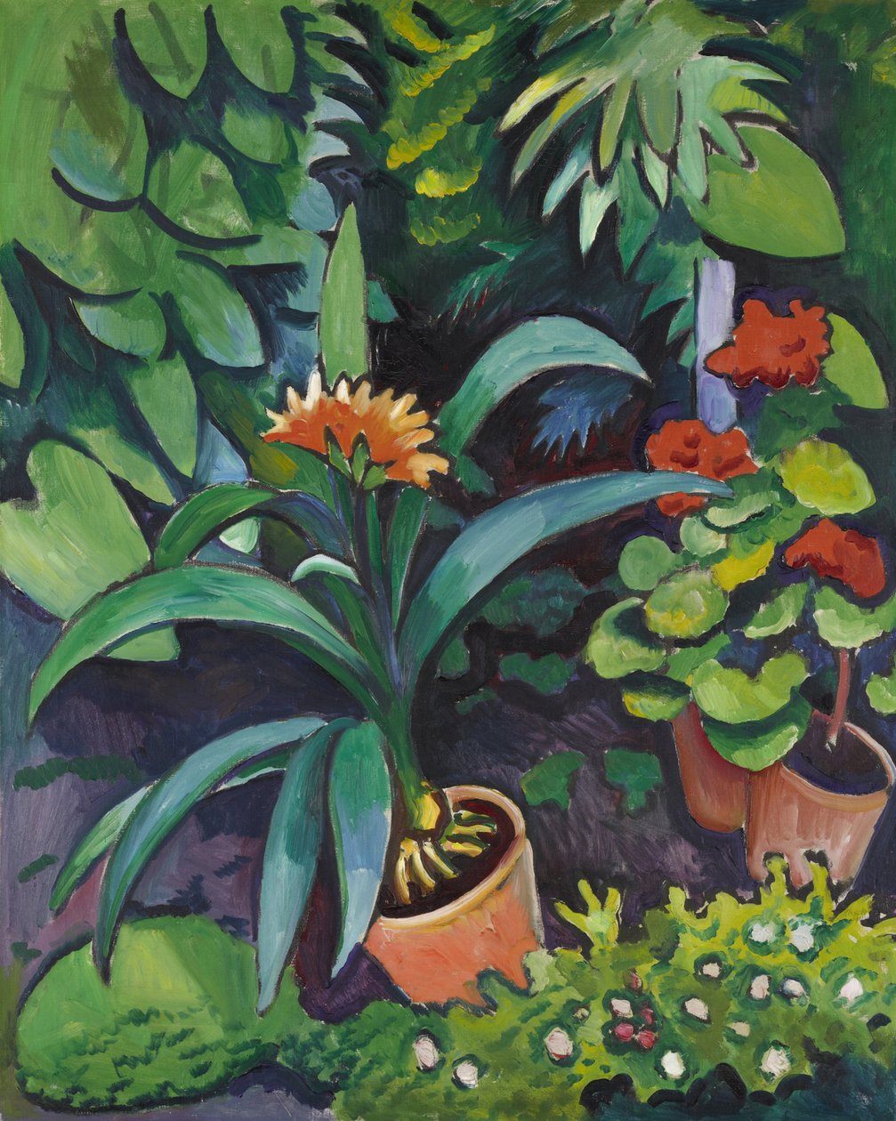 Blumen im Garten, Clivia und Pelargonien von August Macke