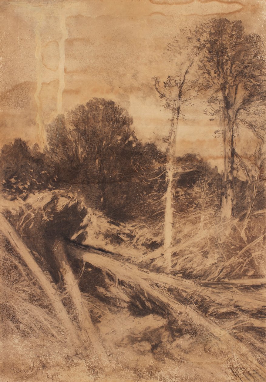 Baumstudie von August Schaeffer von Wienwald