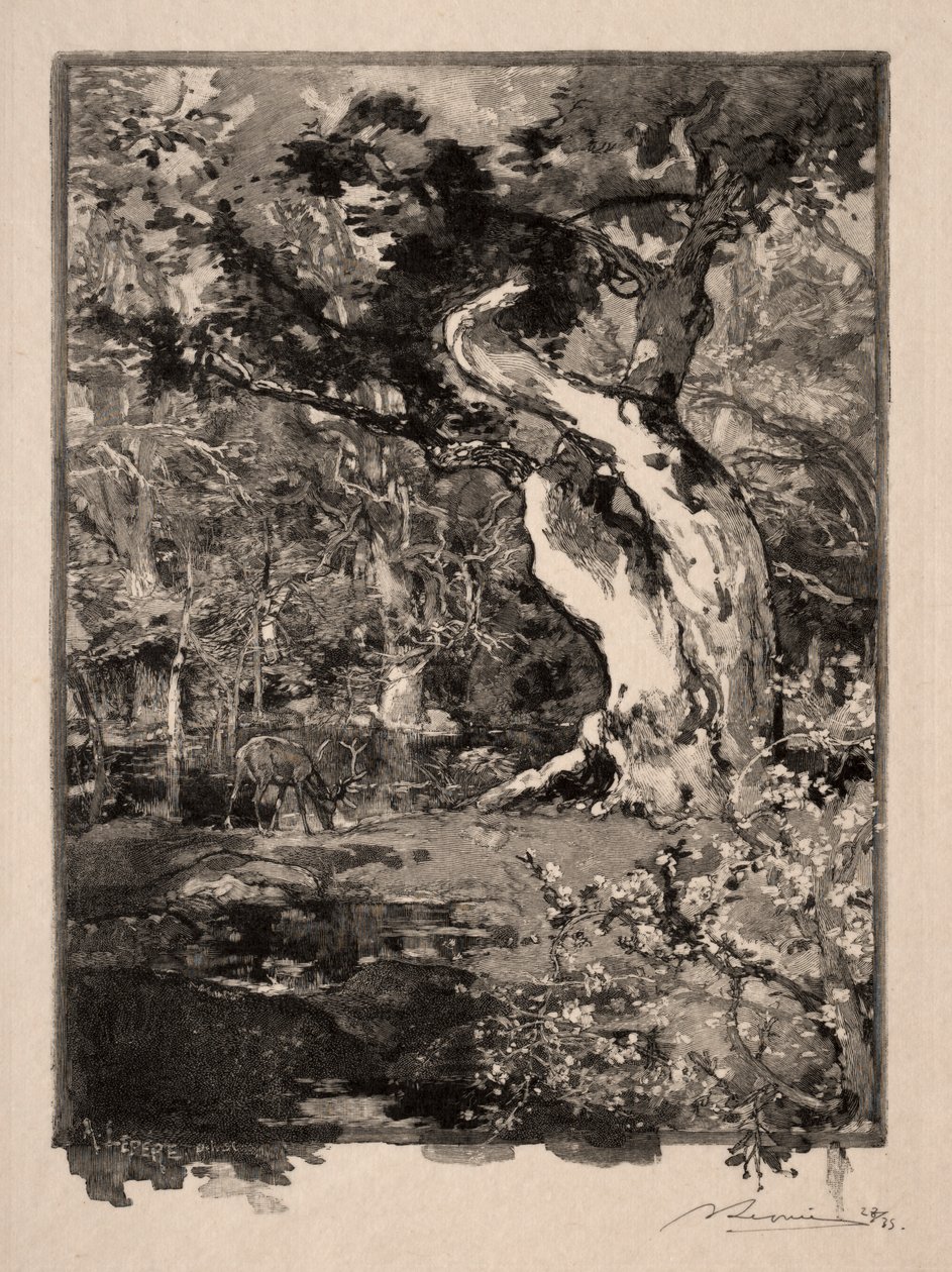 Der Clovis, Plateau de Bellecroix von Auguste Louis Lepère