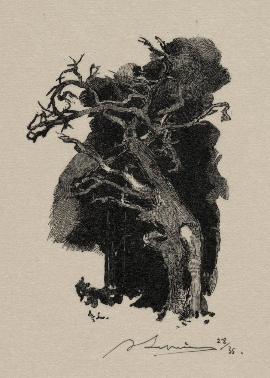 Der Wütende von Auguste Louis Lepère