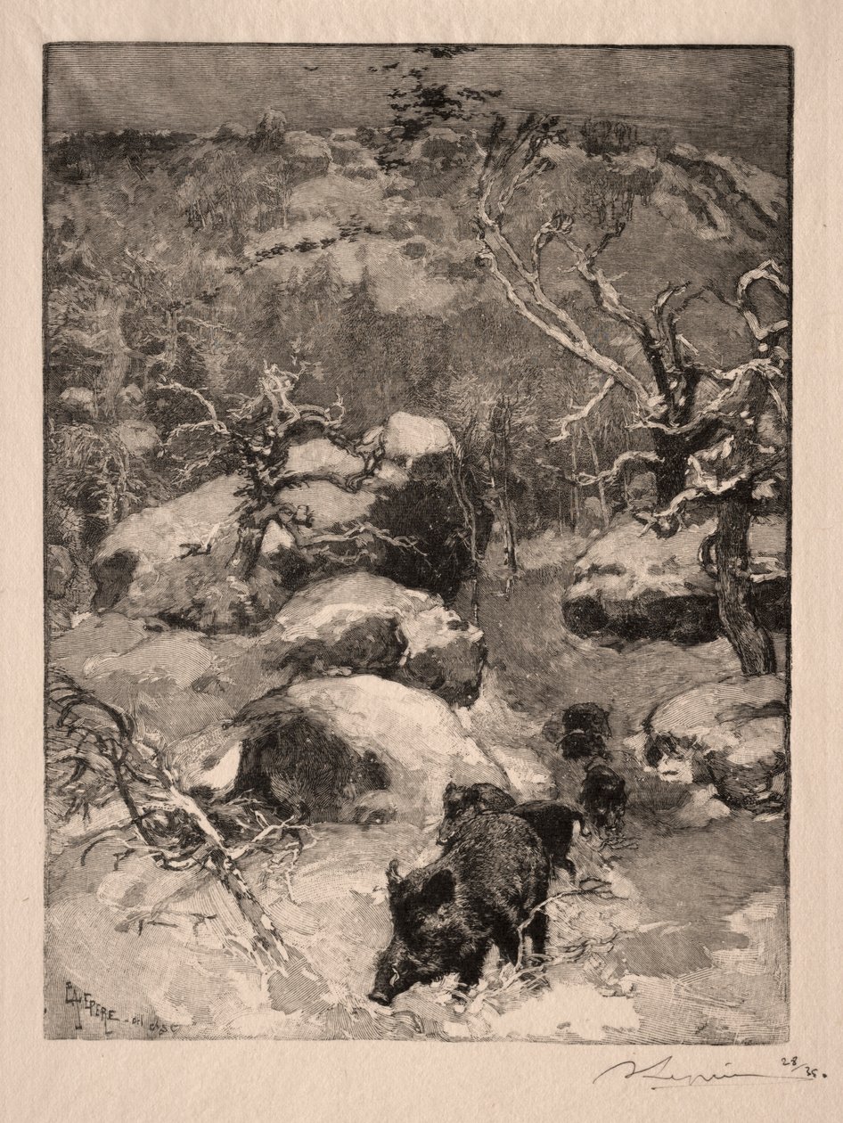 Roche Cuvier Chatillon, 1887 von Auguste Louis Lepère