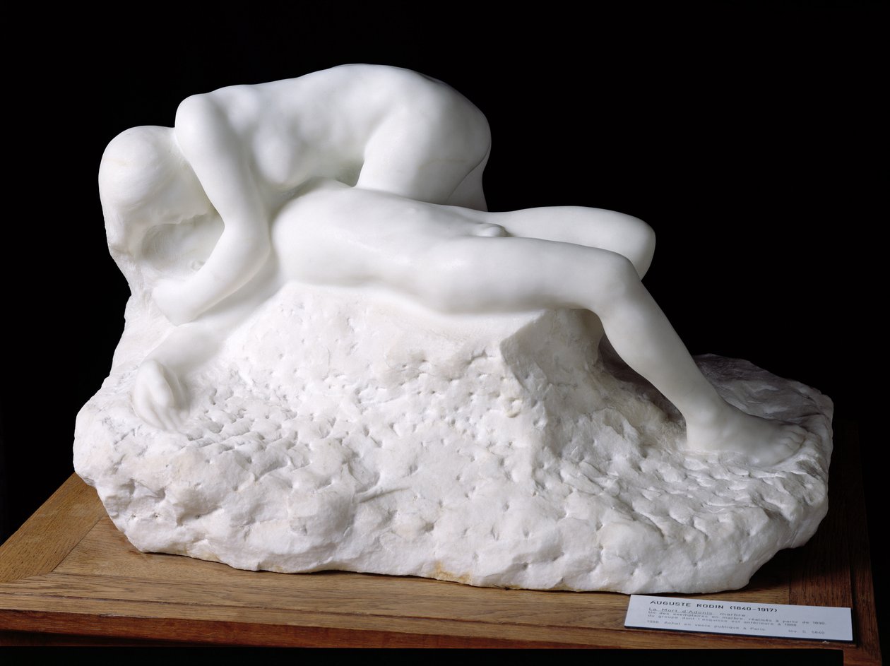 Der Tod des Adonis, nach 1888 von Auguste Rodin