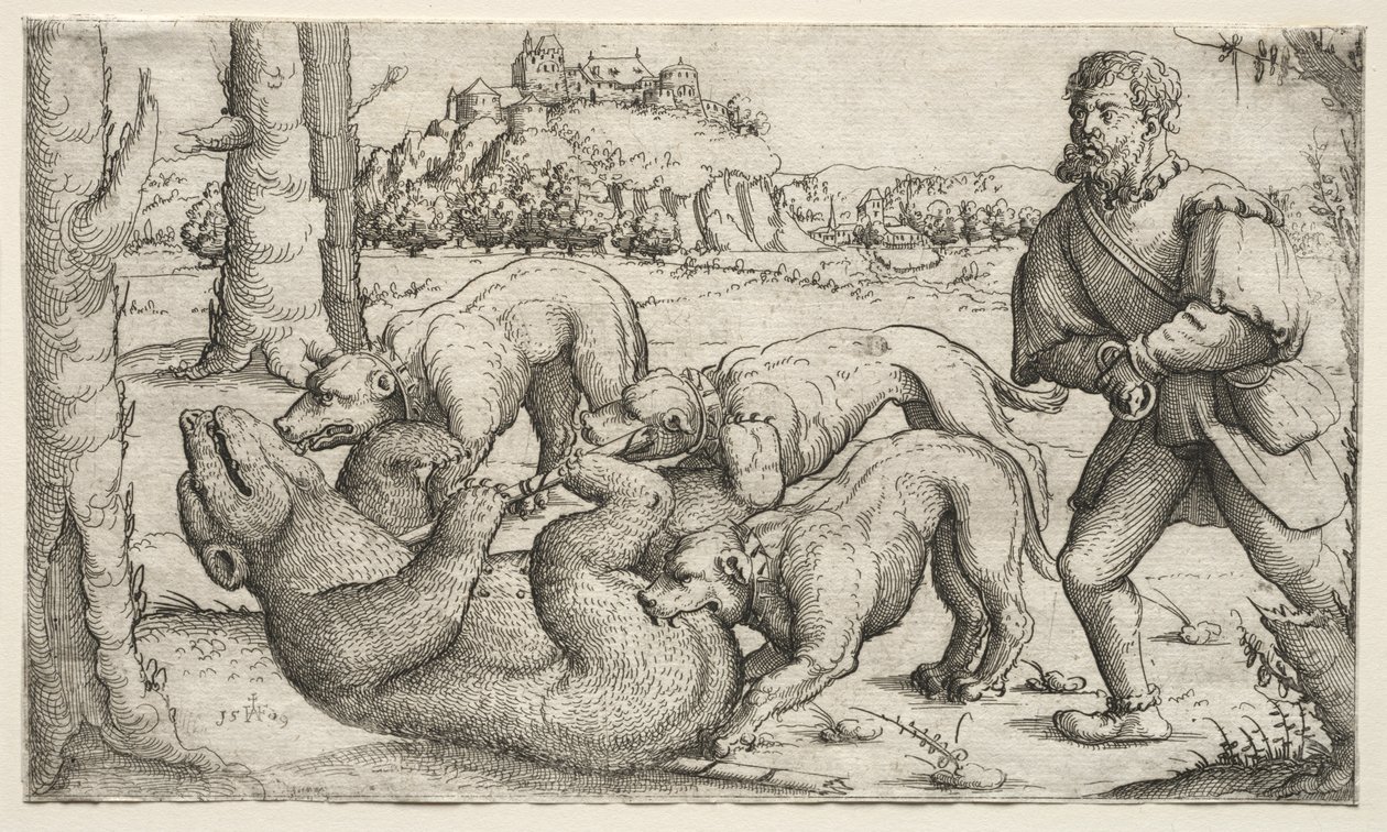 Eine Bärenjagd von Augustin Hirschvogel