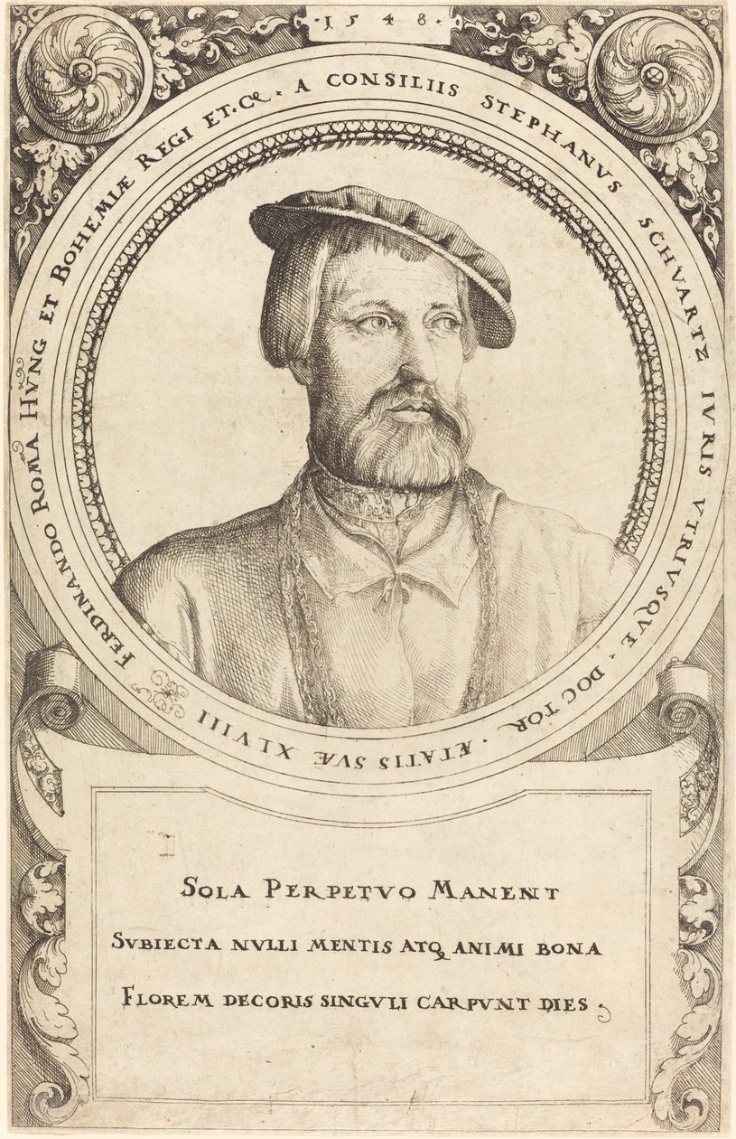Doktor Stephen Schwartz von Augustin Hirschvogel