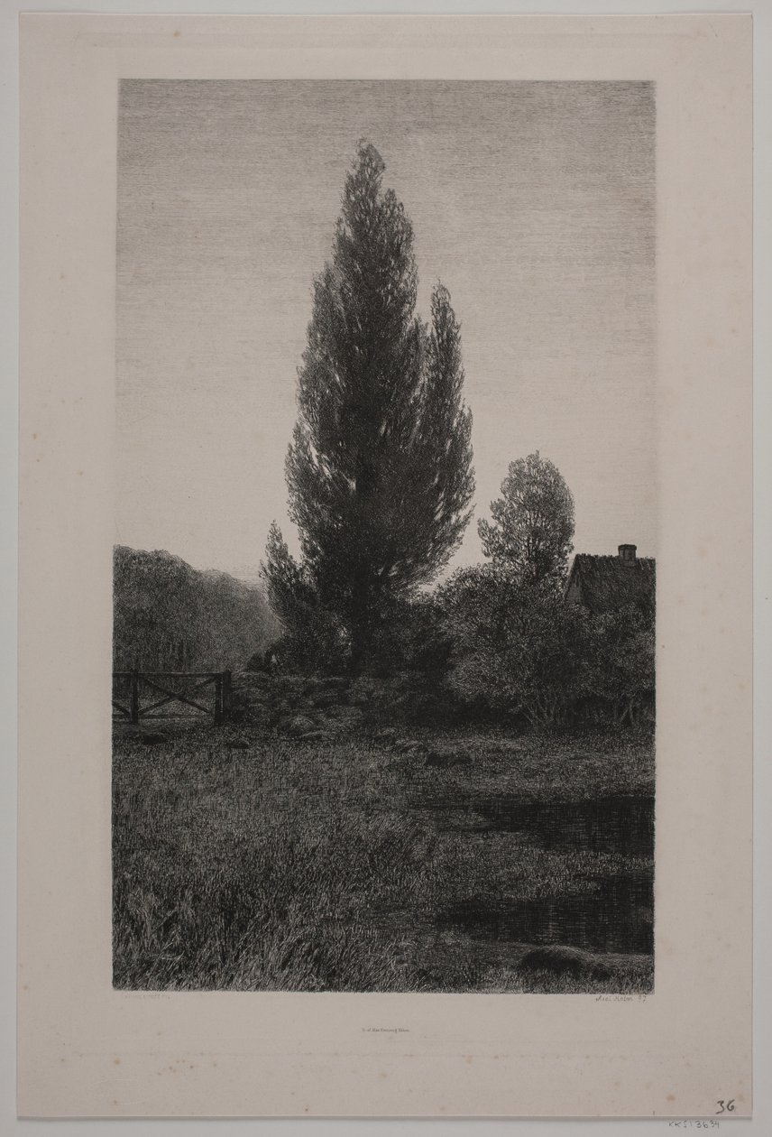 Sommeraften von Axel Holm
