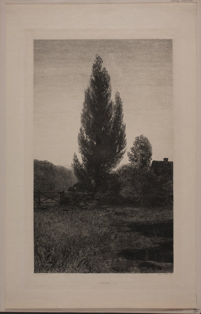 Sommerabend von Axel Holm