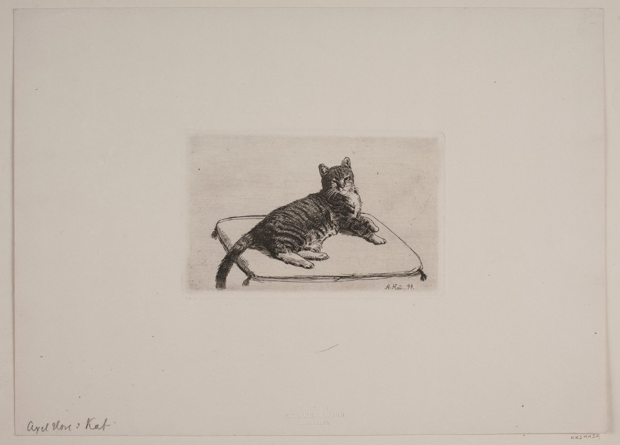 Liegende Katze von Axel Hou