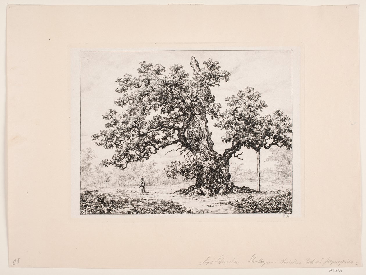 Storkeegen, Jægerspris von Axel Schovelin