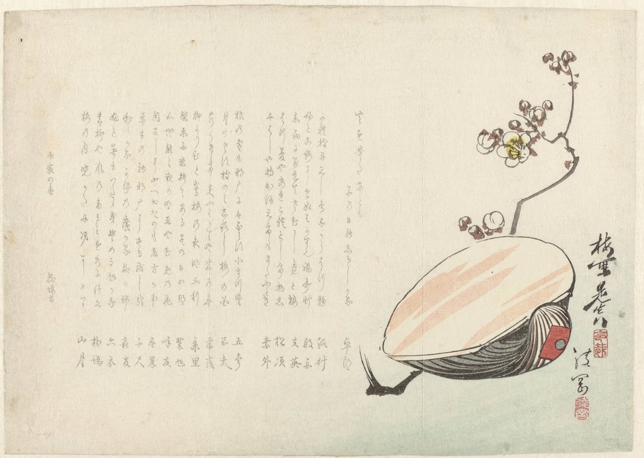 Muschel von Ayaoka Yûshin