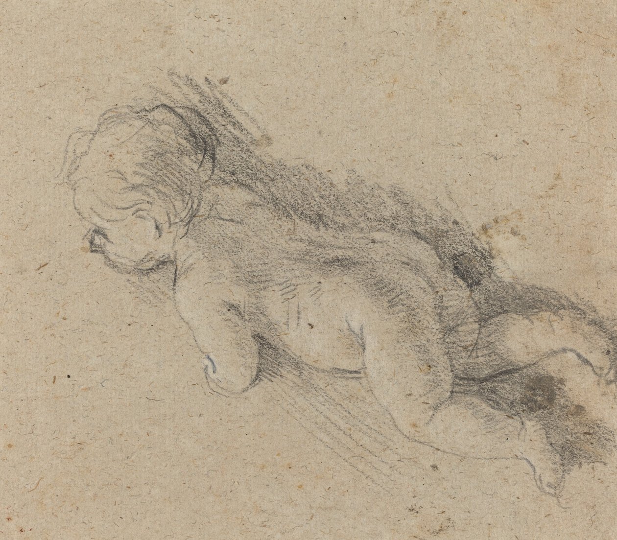 Baby [verso] von Baldassare Franceschini