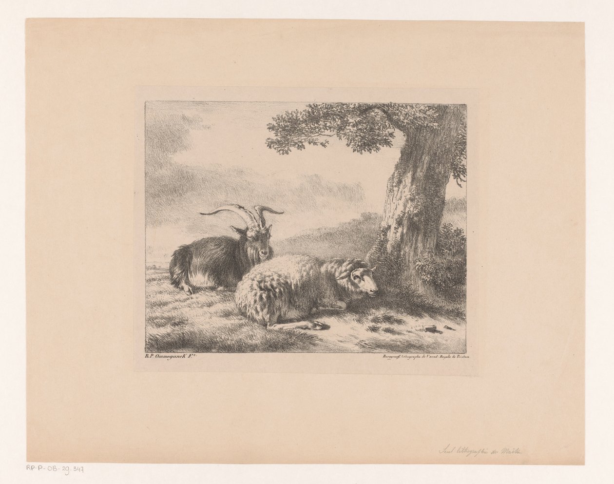 Bock und Schaf von Balthasar Paul Ommeganck