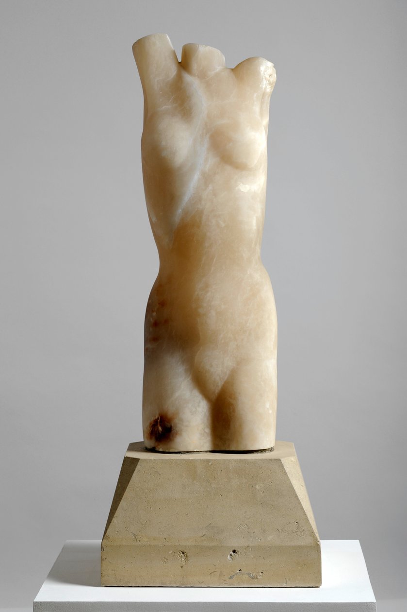 Torso von Barry Hart