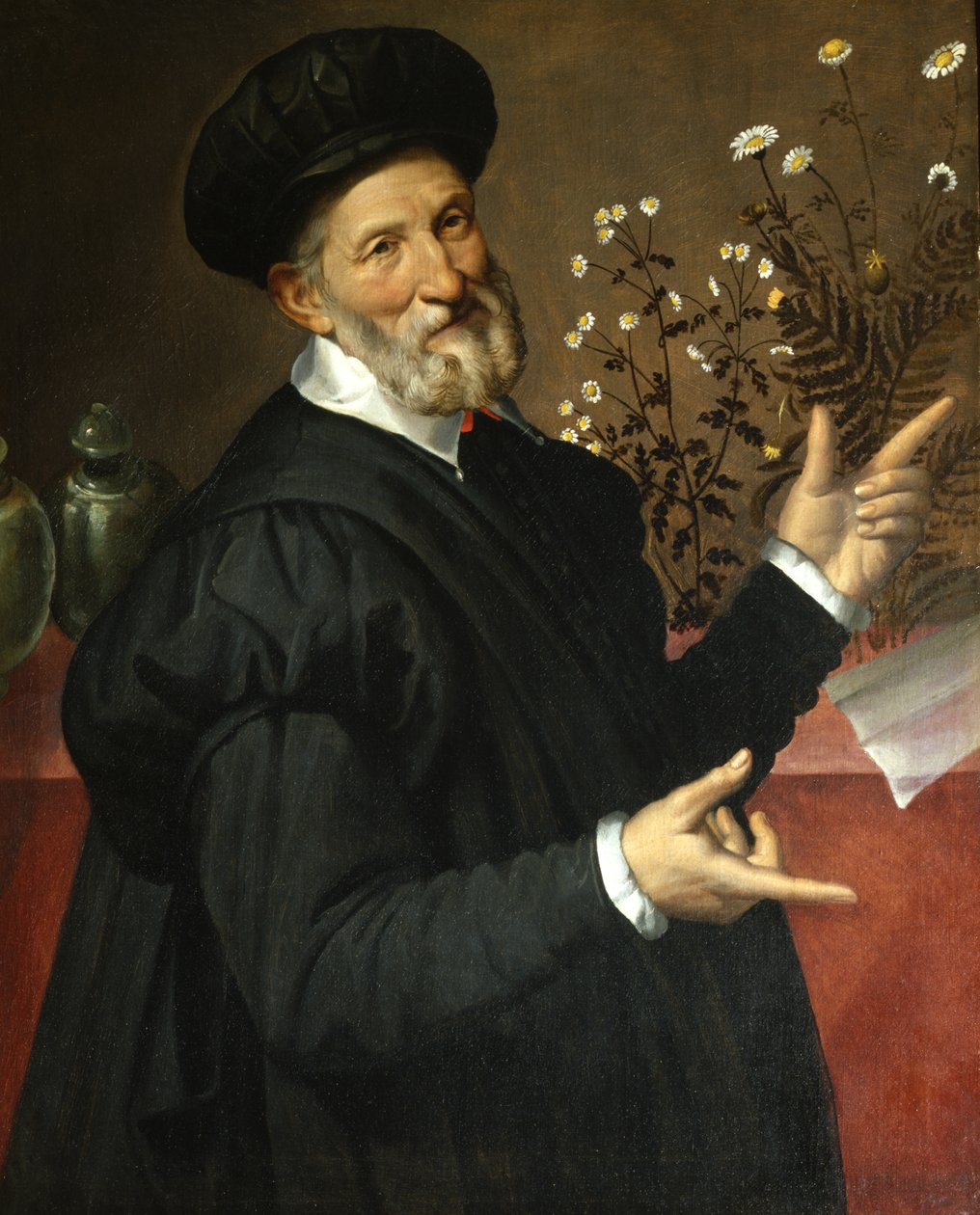Der Botaniker von Bartolommeo Passerotti