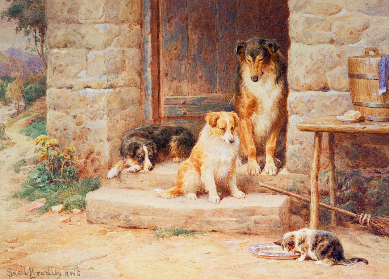 Leben und leben lassen von Basil Bradley