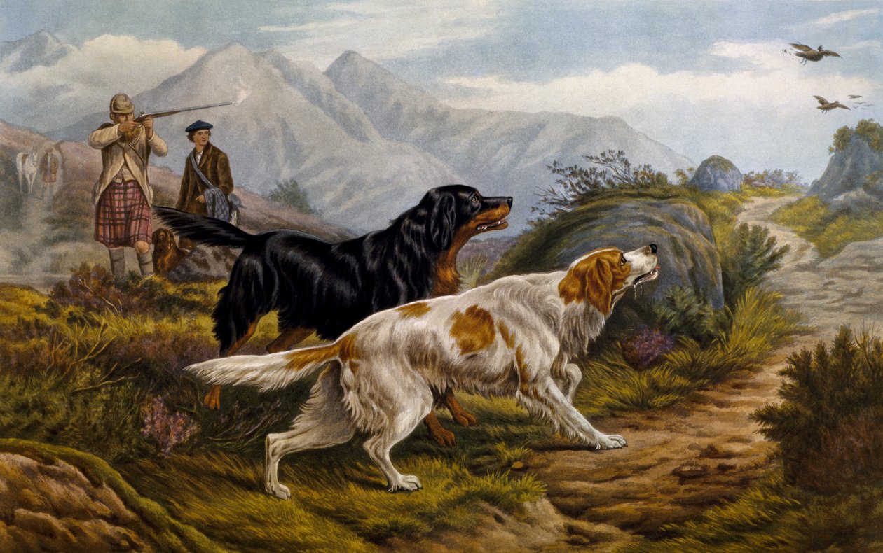 Moorhuhnjagd von Basil Bradley