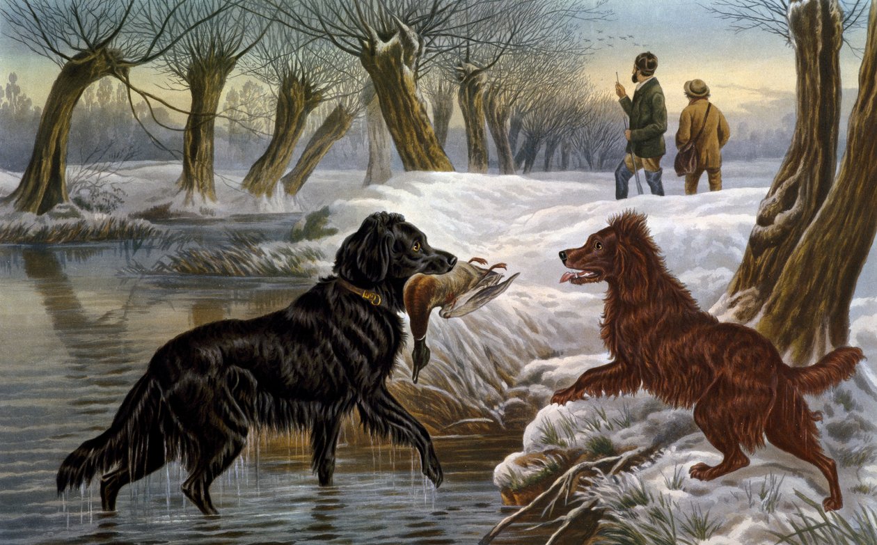 Wildentenjagd von Basil Bradley