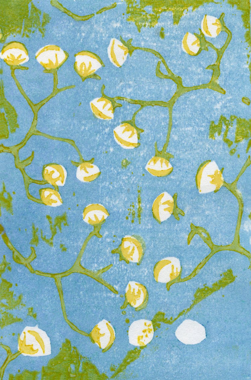 Flauschige Samenstände, 2012 von Bella Larsson