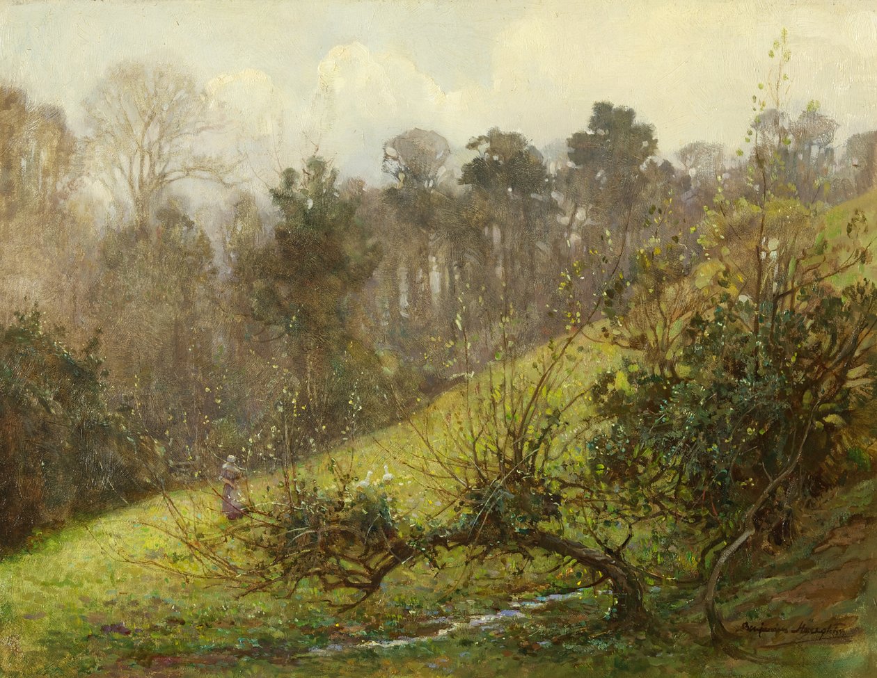 Gänse und Küken von Benjamin Haughton