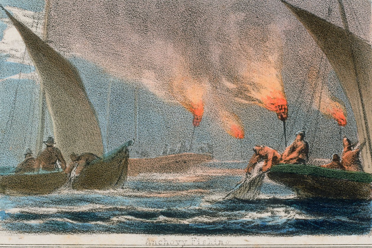 Sardellenfischen, ca. 1845 von Benjamin Waterhouse Hawkins