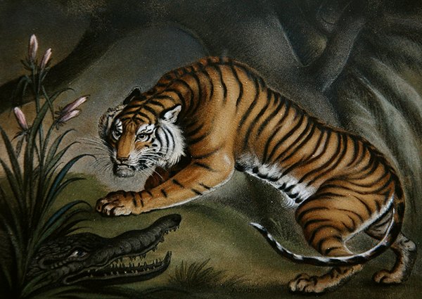 Tiger und Krokodil, ca. 1810 von Benjamin Zobel