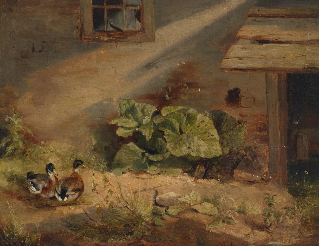 Enten am Hof von Benno Adam