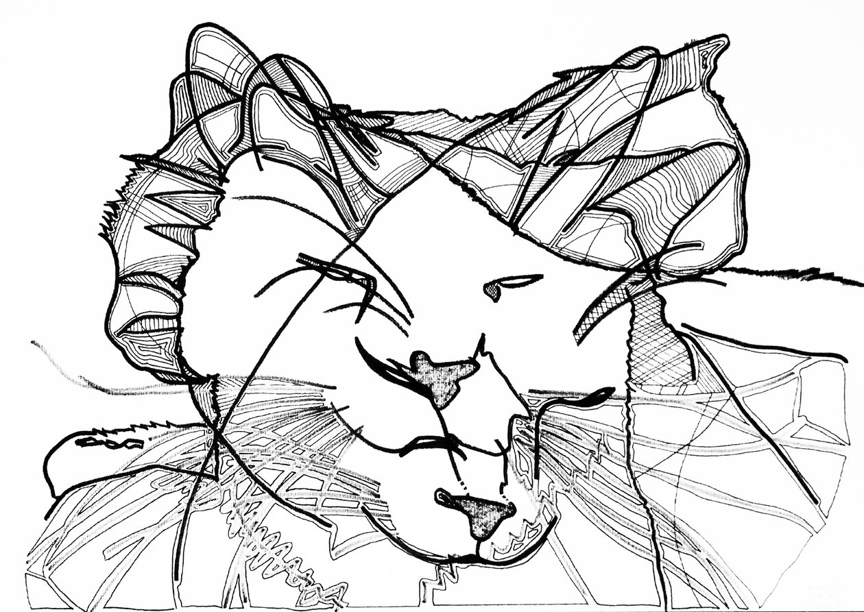 Doppelkatze, 2019 von Benoit Erwann Boucherot