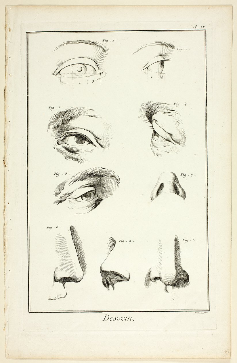 Entwurf: Gesichtsanatomie aus der Encyclopédie von Benoit Louis Prevost