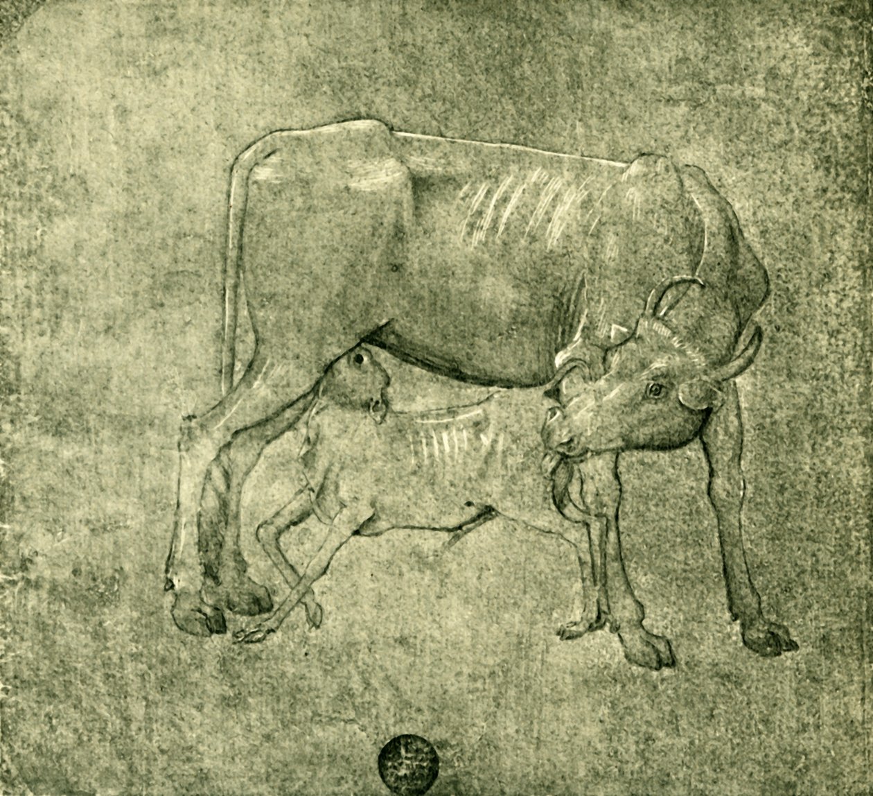 Kuh und Kalb, Mitte bis Ende des 15. Jahrhunderts, 1943 von Benozzo Gozzoli