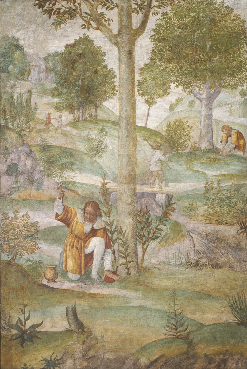 Cephalus versteckt die Juwelen von Bernardino Luini
