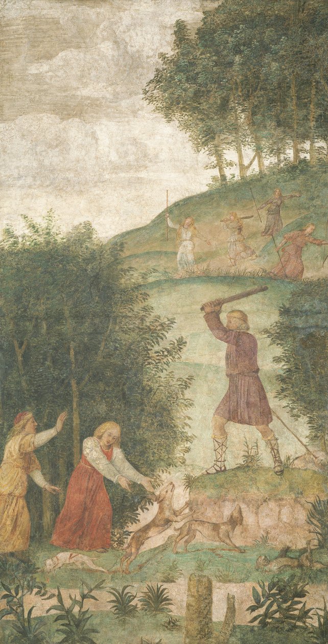 Cephalus wird bei der Jagd bestraft, ca. 1520-1522 von Bernardino Luini