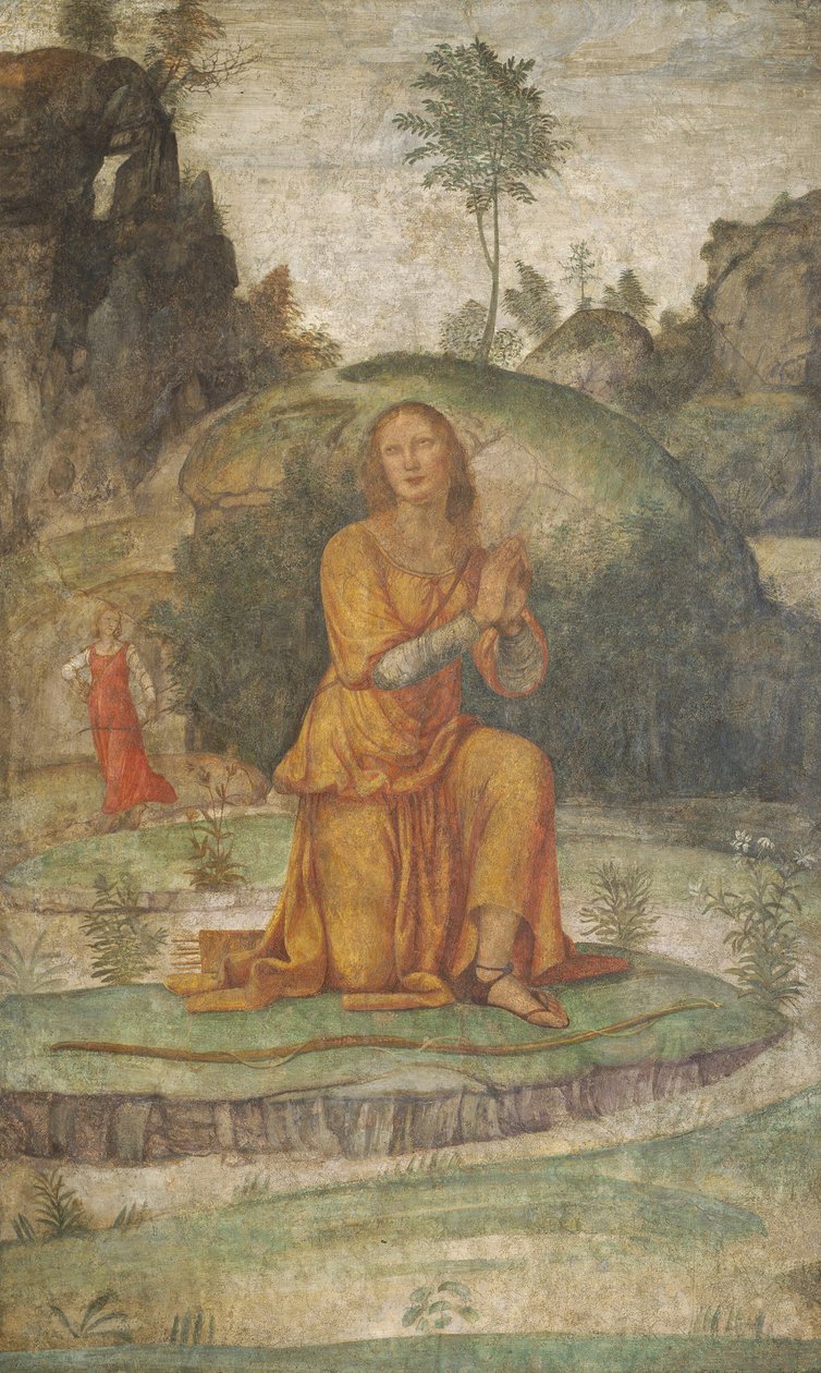 Prokris