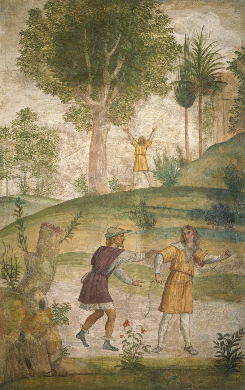 Die Verzweiflung des Cephalus von Bernardino Luini