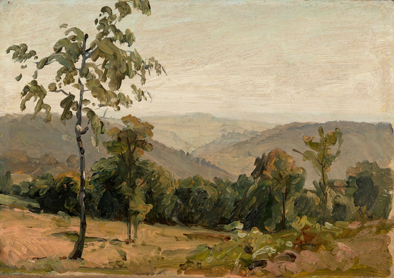 Blick über die Neckarberge bei Heidelberg von Bernhard Fries