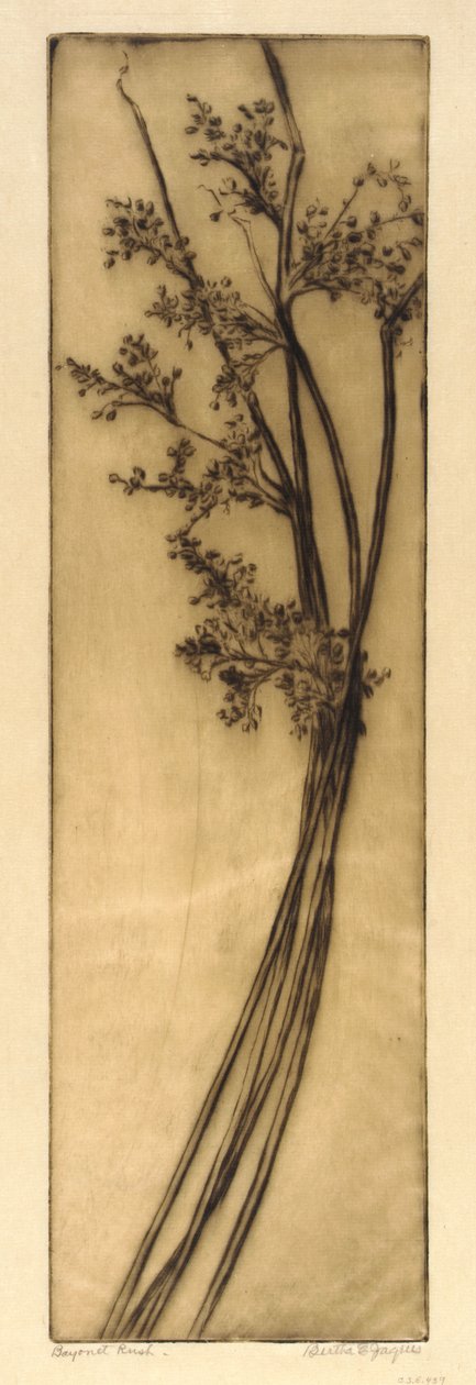 Bajonettangriff von Bertha E. Jaques