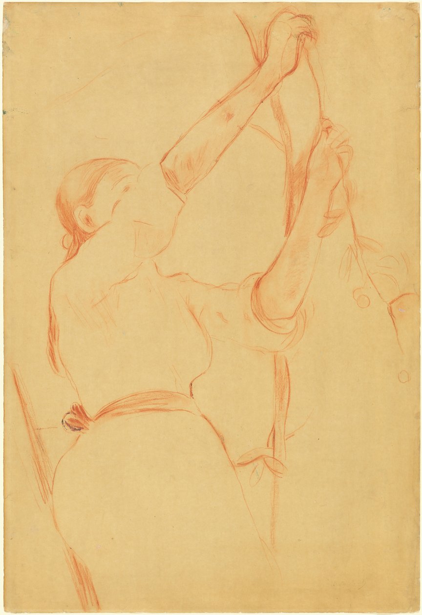 Mädchen pflückt Kirschen von Berthe Morisot