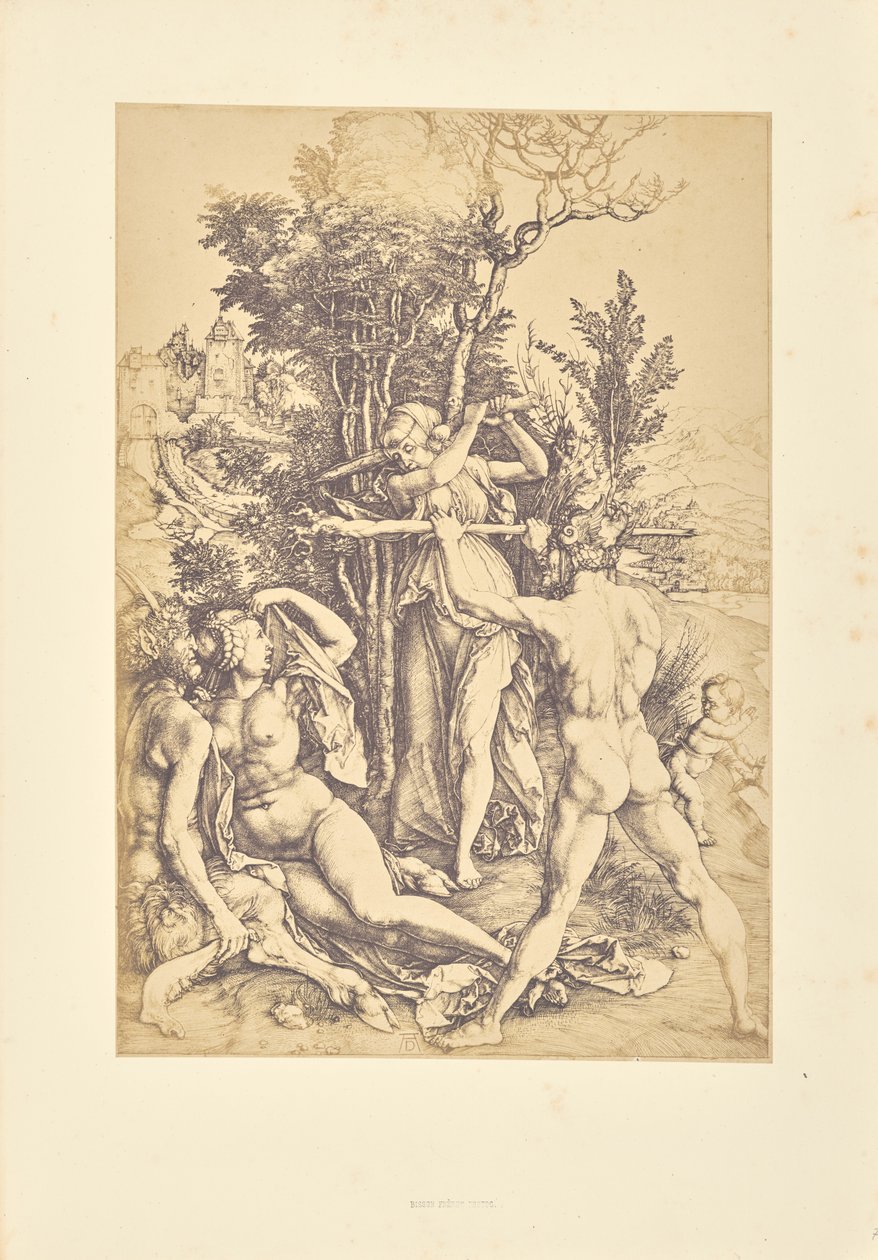 Die Wirkung der Eifersucht von Bisson Frères
