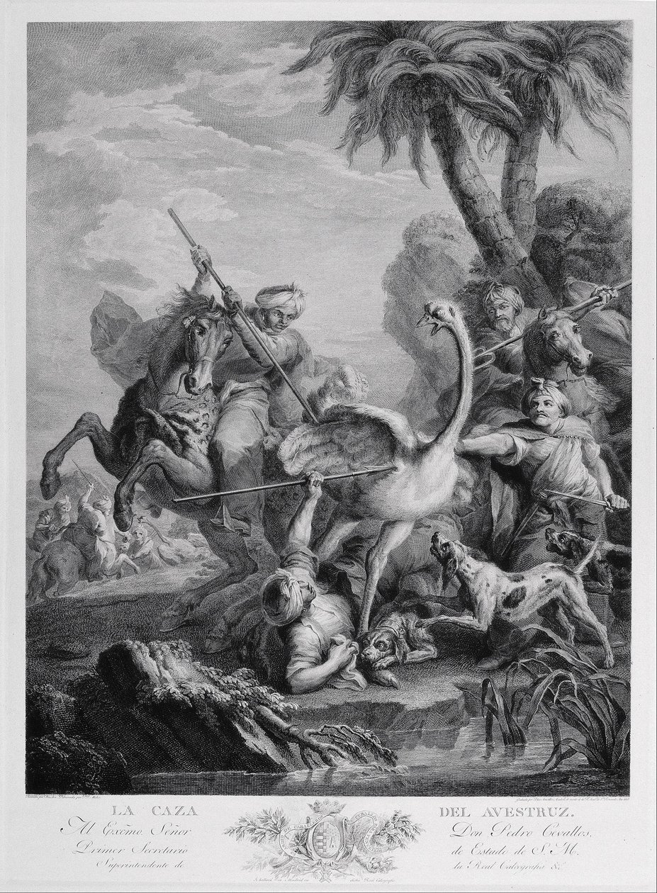 Straußenjagd von Blai Ametller