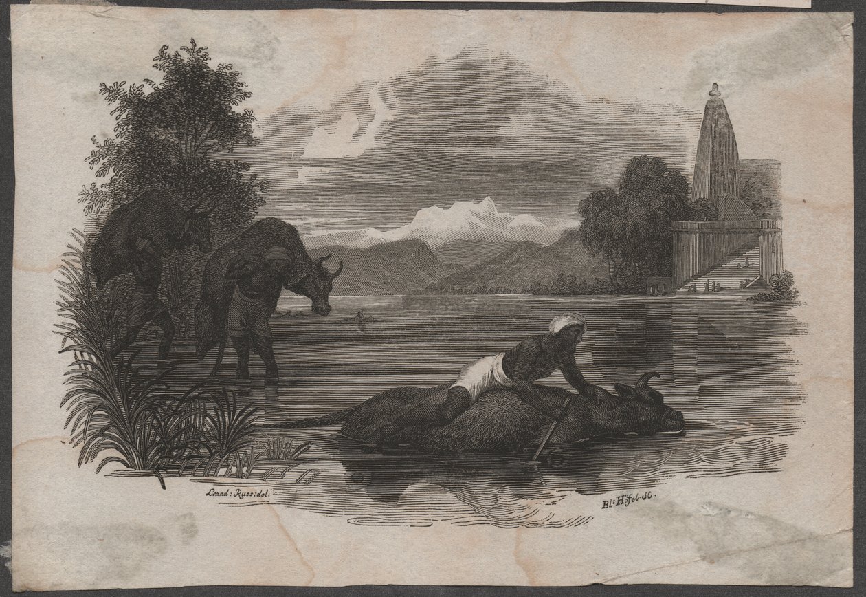 Bauern tragen tote Rinder, ca. 1850 (Gravur) von Blasius Höfel