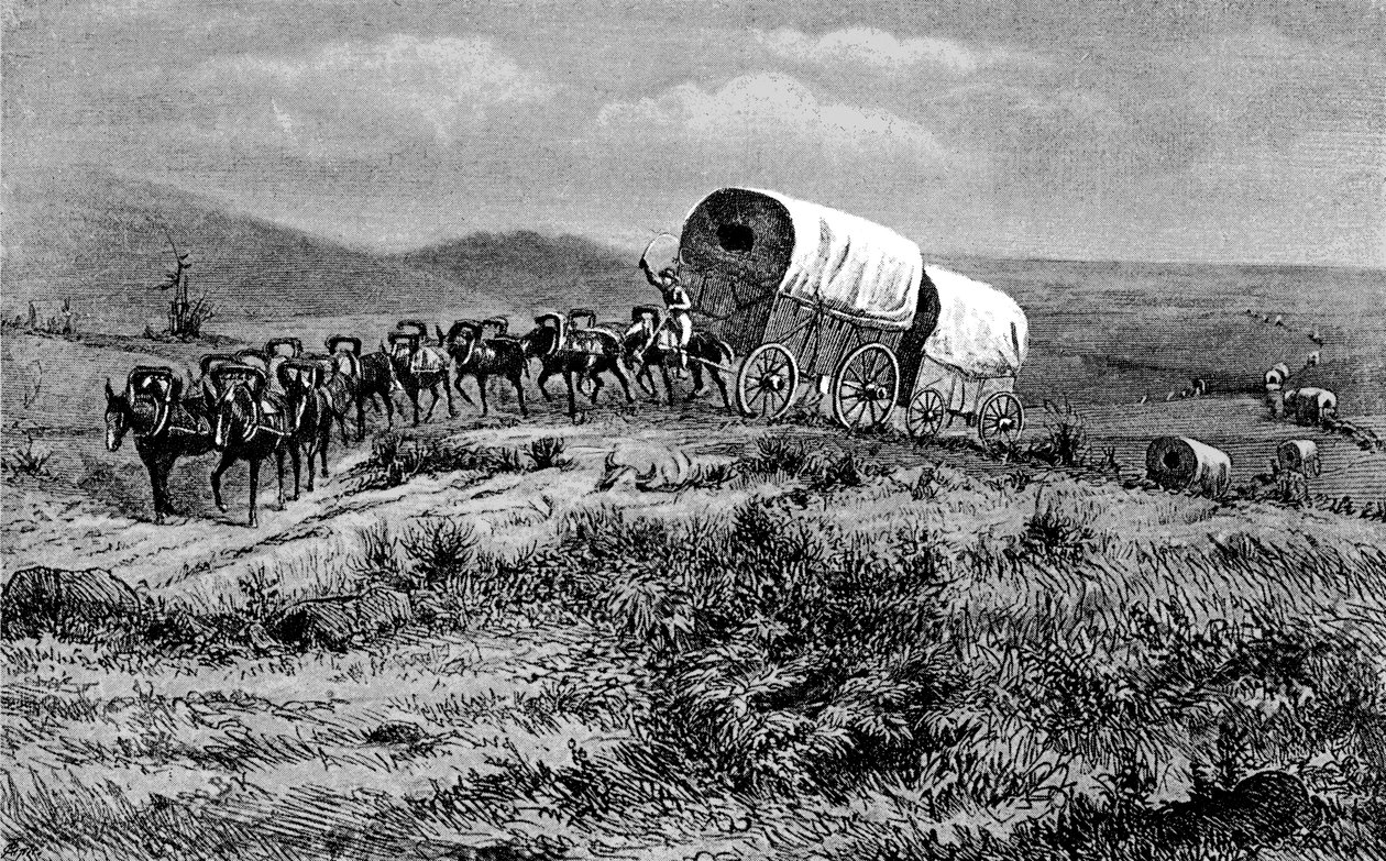 Wilder Westen - Maultierzug zieht nach Westen von Bohuslav Kroupa