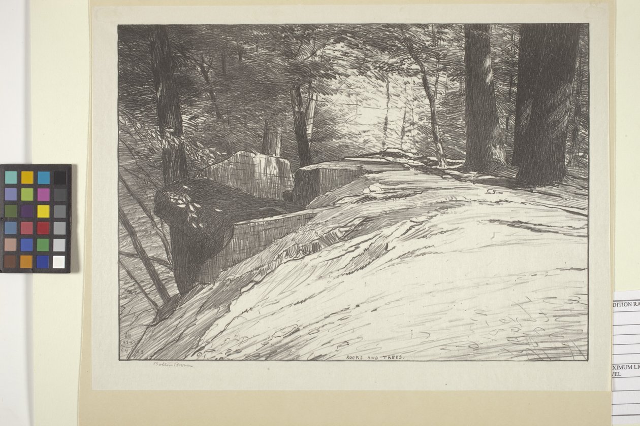 Felsen und Bäume von Bolton Coit Brown