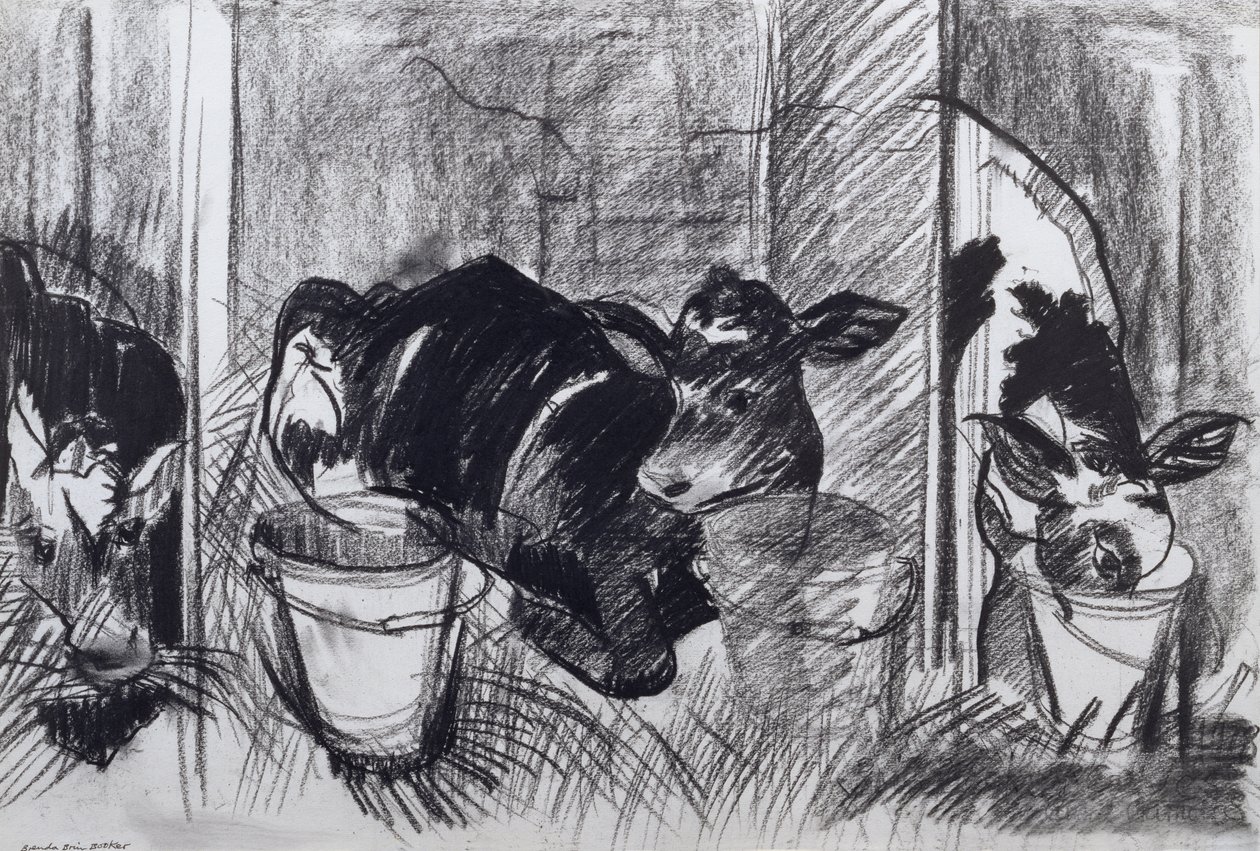 Kälber von Brenda Brin Booker