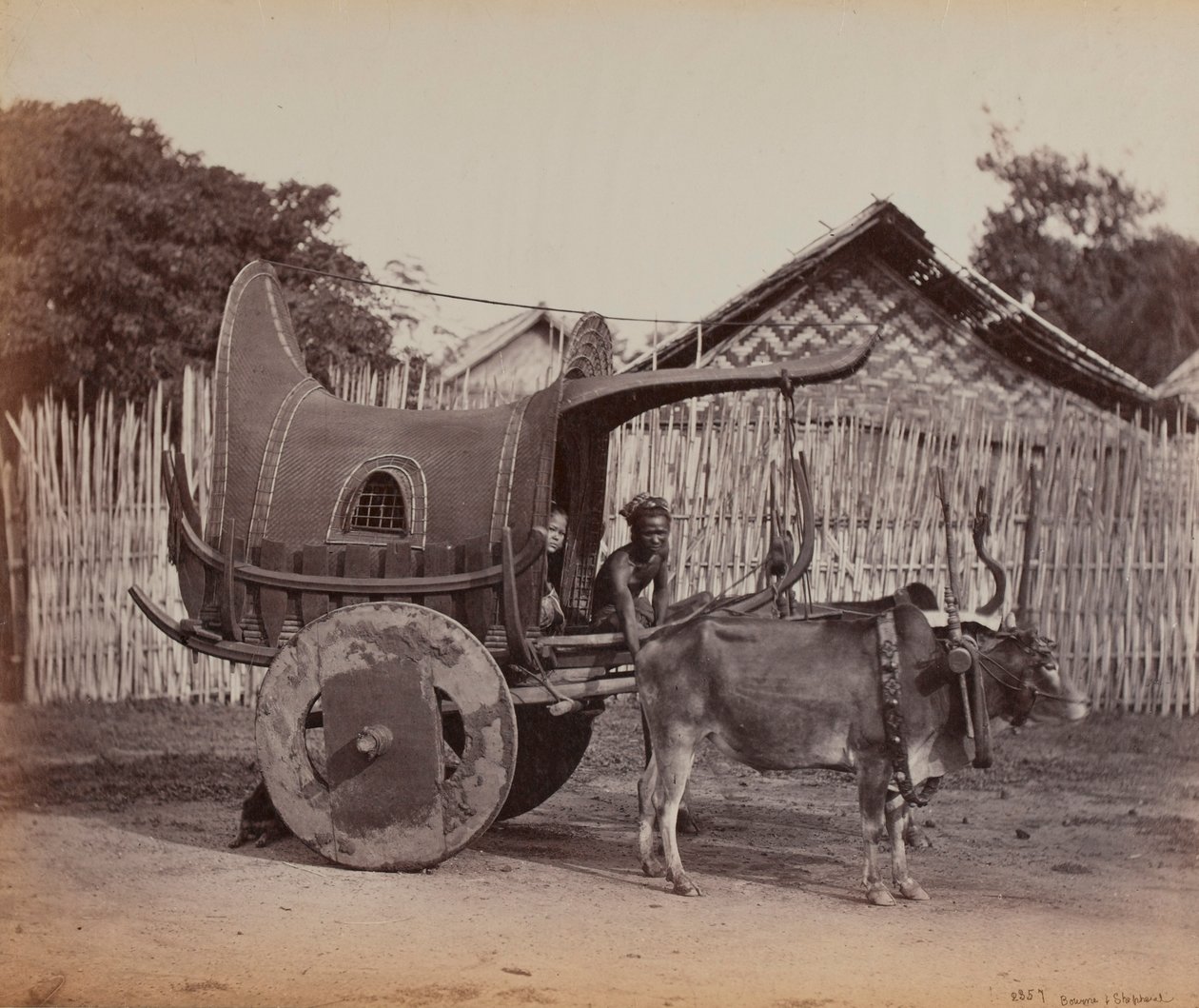 Landkarren, Burma (1886-88) von British Photographer