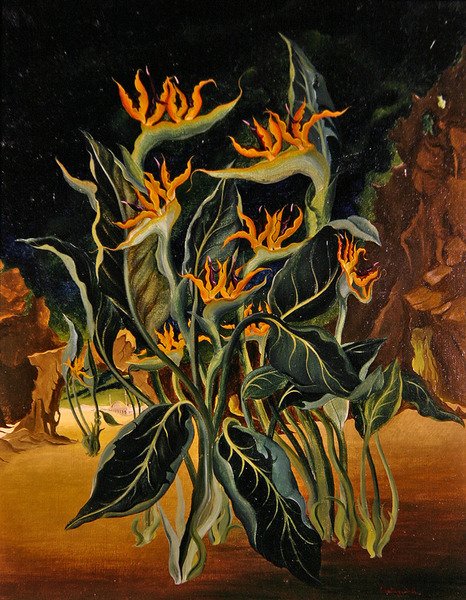 Seltsame Blumen von Bruce Hollingsworth